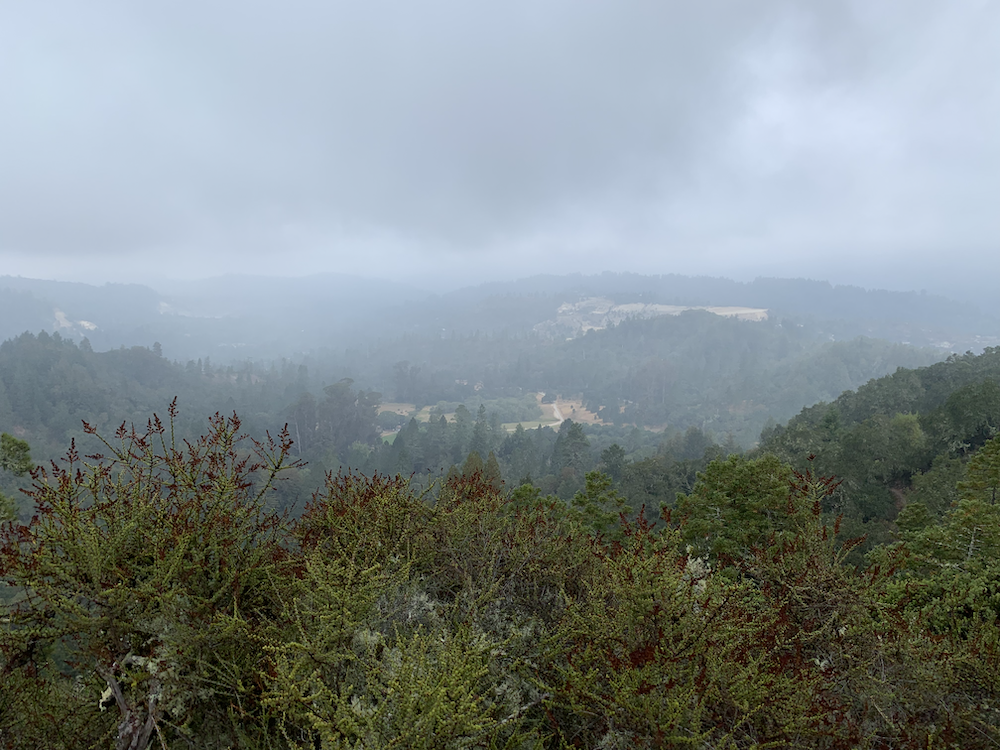 Hiking in Santa Cruz CA